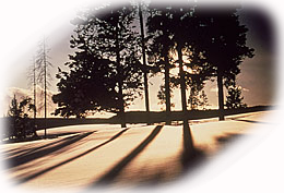 Winter's Eve