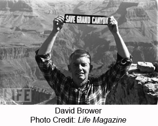 David Brower