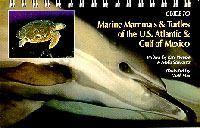 Marine