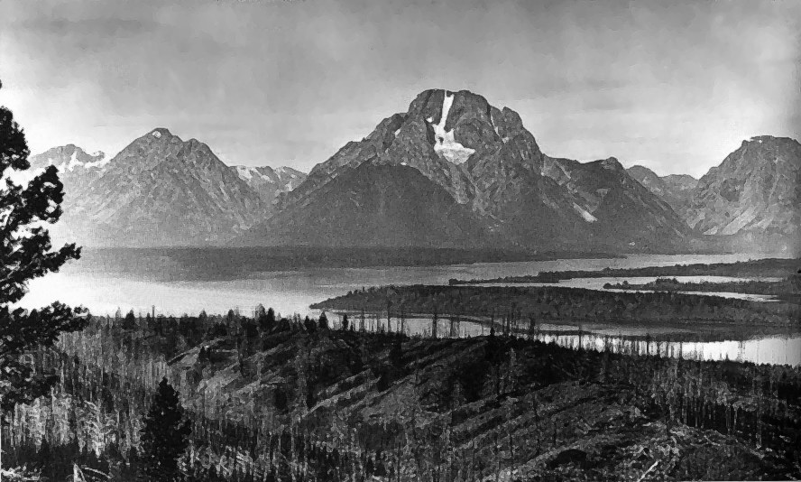 Mt. Moran