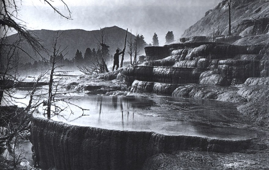 Jackson: Mammoth Hot Springs